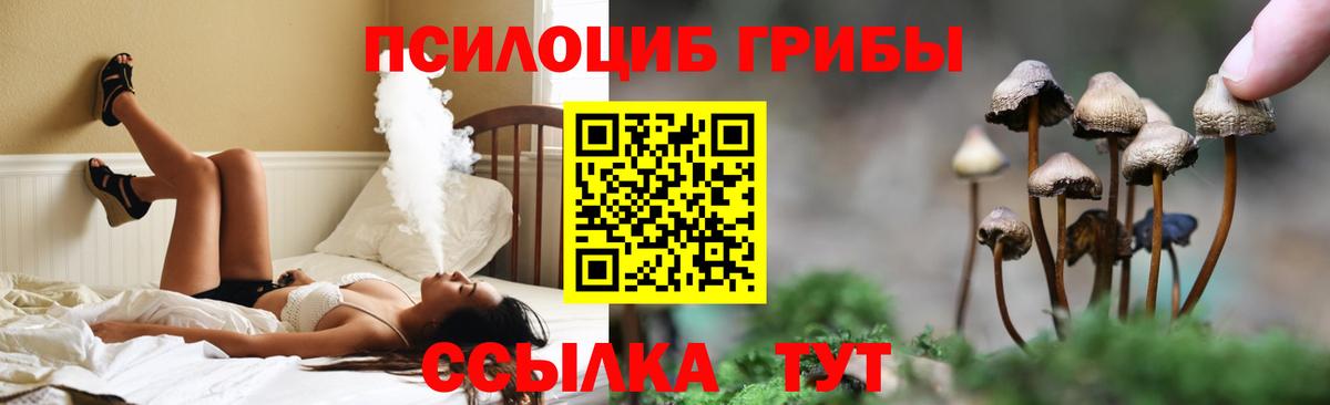 Аша  Псилоцибиновые грибы прущие грибы  Вход с VPN  Галлюциногенные грибы прущие грибы 
